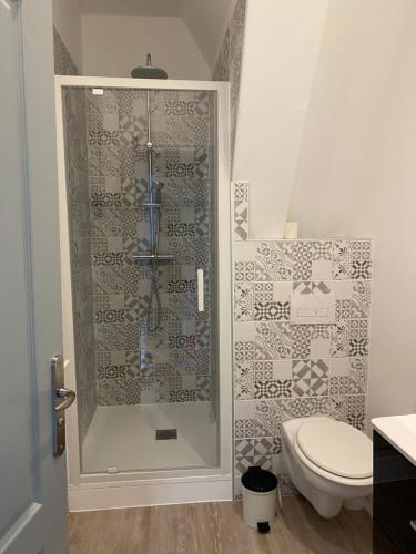 a bathroom with a shower and a toilet at La bourboule Appartement in La Bourboule