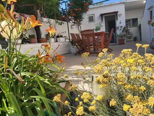 Κήπος έξω από το Apartments Teo 1