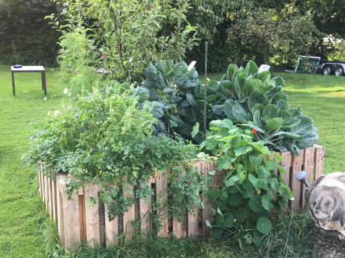 a garden with plants in a wooden fence at Villa Streintz in Millstatt