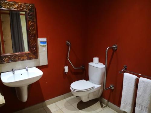 a bathroom with a toilet and a sink and a mirror at Riverstone Lodge in Muldersdrift