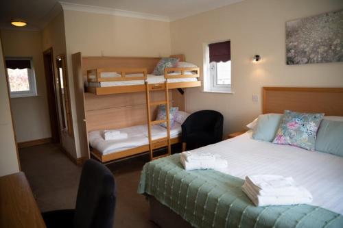 a room with a bed and bunk beds in it at Llety Ceiro Guesthouse in Aberystwyth