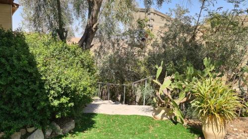 a garden with trees and plants and a fence at Olives in Arad