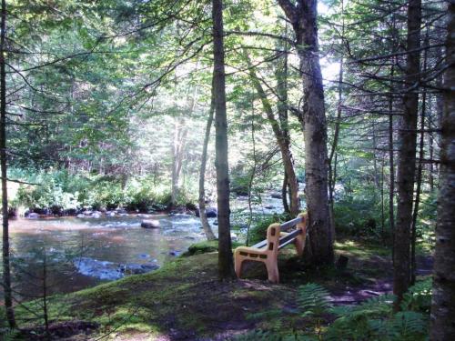 a bench sitting in the woods next to a river at La Petite Douceur in Lac-Superieur