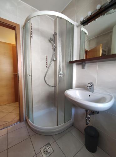 une salle de bain avec douche et lavabo dans l'établissement Apartments Bohinjc, à Bohinj