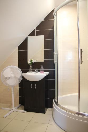 a bathroom with a sink and a shower at Zamsówka in Guciów