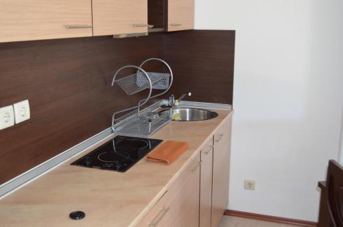 A kitchen or kitchenette at TRS Apartments