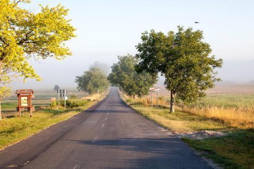 an empty road in the middle of a field at Grand Balaton House in Kővágóörs