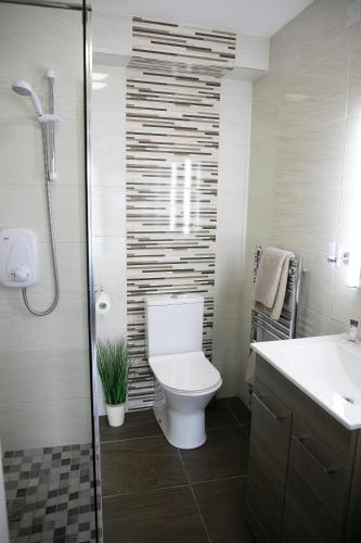 a bathroom with a toilet and a sink at Arch House B&B & Apartments in Athlone