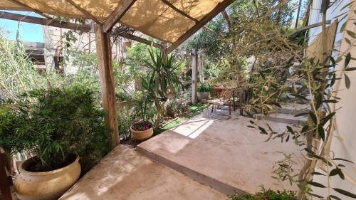 a garden with potted plants in a greenhouse at Olives in Arad