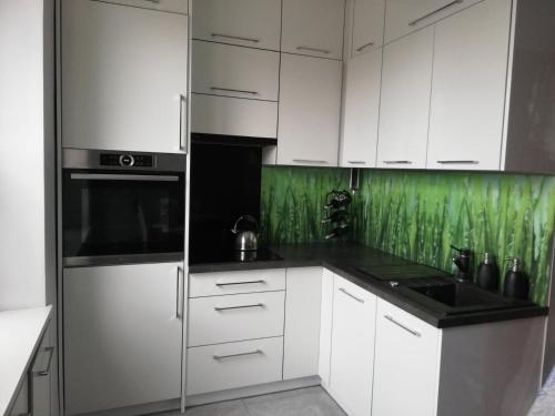 Kuchyňa alebo kuchynka v ubytovaní Apartament Zosia