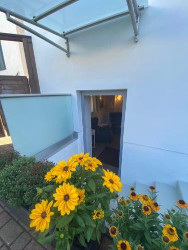 a bunch of yellow flowers in front of a building at Pension Villa Ostseetraum in Warnemünde