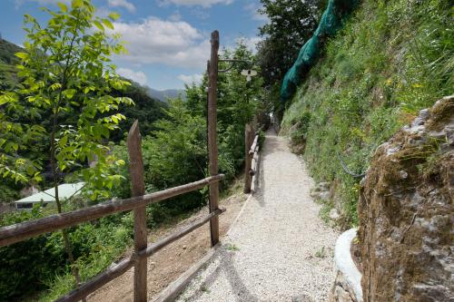 a path on a hill next to a fence at Villa Le Murelle in Tramonti