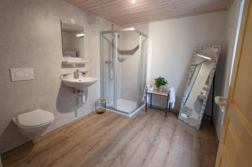 W łazience znajduje się prysznic, toaleta i umywalka. w obiekcie Hôtel Bellavista "Bellevue" w mieście Saignelégier