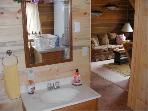 a bathroom with a sink and a living room at Papoose in Custer