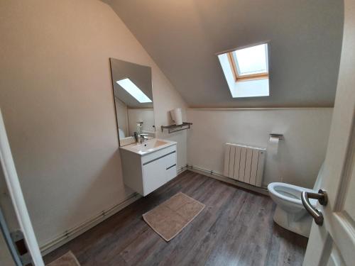 ein Badezimmer mit einem Waschbecken, einem Spiegel und einem WC in der Unterkunft Appart'Ardennes 3 in Vireux-Molhain