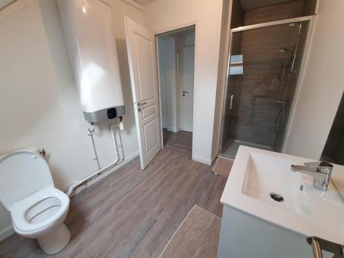 ein Bad mit einem WC, einem Waschbecken und einer Dusche in der Unterkunft Appart'Ardennes 3 in Vireux-Molhain