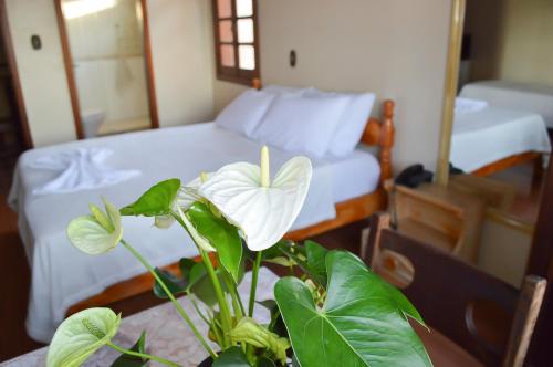 a white flower sitting on a table next to a bed at Hotel Castel in Canoas
