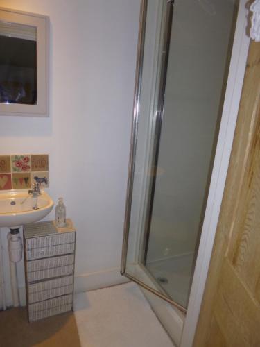 een badkamer met een douche en een wastafel bij Cranberry Cottage in Wallingford