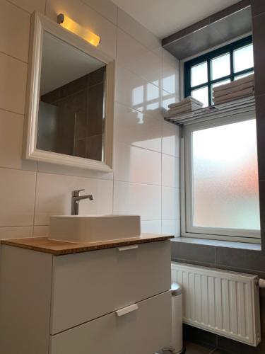 La salle de bains est pourvue d'un lavabo et d'un miroir. dans l'établissement Les Maisons Domburg, à Domburg