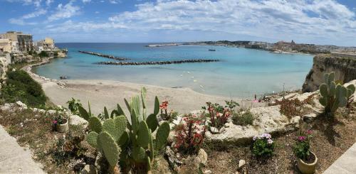 a view of a beach with cacti and the ocean at B&B SANGIORGIO Green living in Melpignano