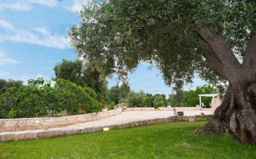 Taman di luar TRULLO DEL BOSCHETTO