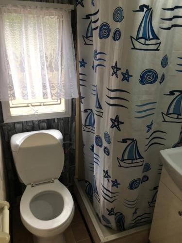 een badkamer met een toilet en een blauw-wit douchegordijn bij Holenderka Olek in Stegers