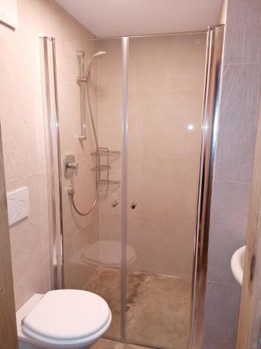 a shower stall with a toilet in a bathroom at Zachhof in Ellbögen