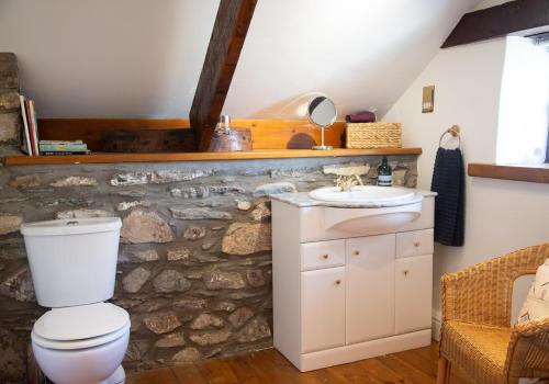 un baño con inodoro y lavabo en Maesgwyn, en Pembrokeshire