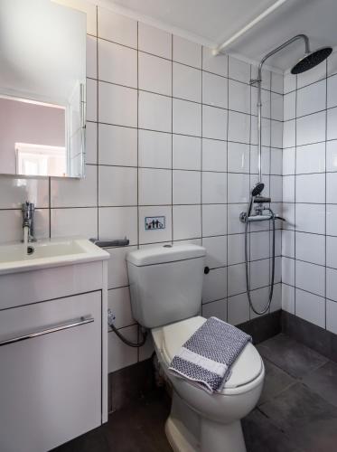 a bathroom with a toilet and a sink and a shower at Antigoni's Bay House in Adamantas