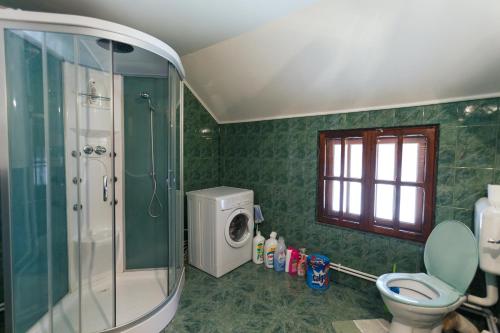 a bathroom with a shower and a toilet and a sink at Casa dintre munti Karina in Nehoiu
