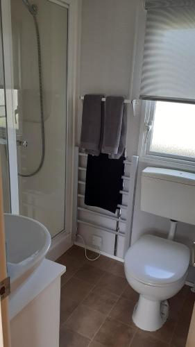 a bathroom with a toilet and a sink and a shower at Fairways 21...Turnberry in Girvan