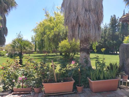 Jardín al aire libre en Le Rose