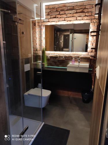 y baño con lavabo, aseo y espejo. en Apartament Aurora Kletno en Stronie Śląskie