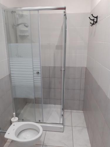 a shower stall with a toilet in a bathroom at B&b il Girasole in Grisolia