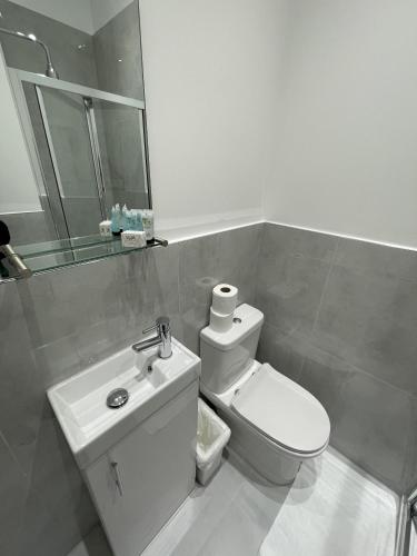 a bathroom with a white toilet and a sink at Ravna Gora in London