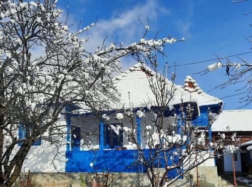 a blue house with snow on the roof at Casa de vacanta traditionala romaneasca in Schiuleşti