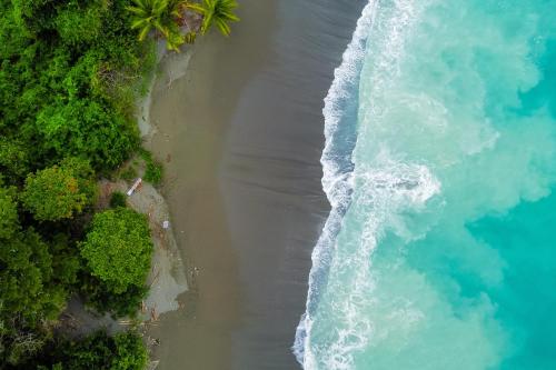an aerial view of a beach and the ocean at Casa Verde in Cabo Matapalo