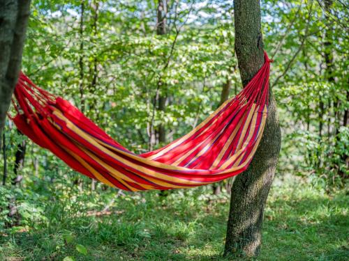 a red hammock hanging from a tree in the woods at Casa de vacanta traditionala romaneasca in Schiuleşti