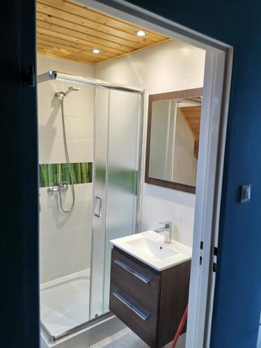 a bathroom with a shower and a sink at Dom Wczasowy Radość in Rewal