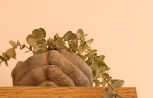a vase with a plant on top of a table at Casa del Borgo "Terra & Fuoco" sul Lago Maggiore in Maccagno Inferiore