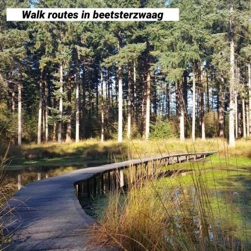 a bridge over a body of water in a forest at Huisje Kerkepad in Gorredijk