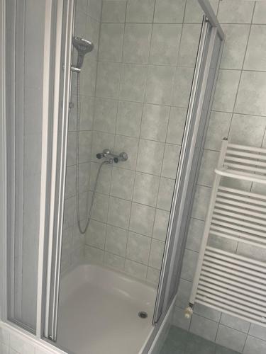 a shower with a glass door and a bath tub at Redewischer Str.8 in Boltenhagen