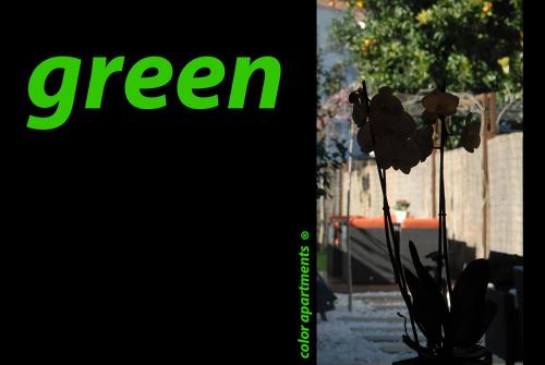 a picture of a plant in a vase with the word green at Green Home in Santiago de Compostela