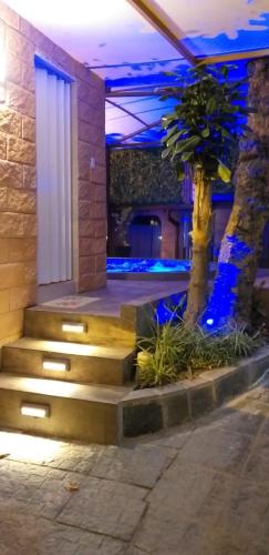 a house with stairs and a palm tree at night at Hotel Boutique Spa Villa de Sant in Quito
