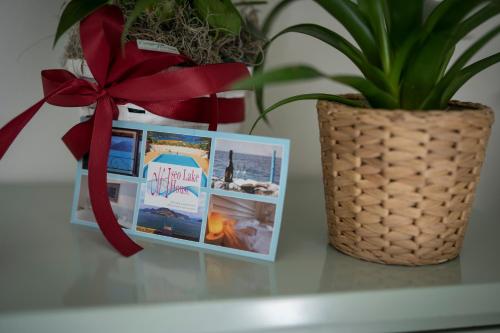 LUISE HOME – Photos 2