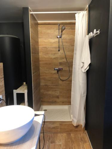 une salle de bain avec une douche avec des toilettes et un lavabo dans l'établissement Appartement 6 personnes valgorge, à Valgorge