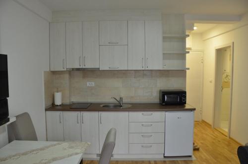 Η κουζίνα ή μικρή κουζίνα στο Apartman Rajak