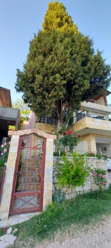 Gallery image of Villa Tesoro in Kruče