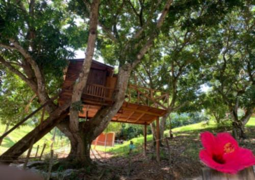 a tree house in a tree with a pink flower at Eco-Glamping Shalom in Mariquita