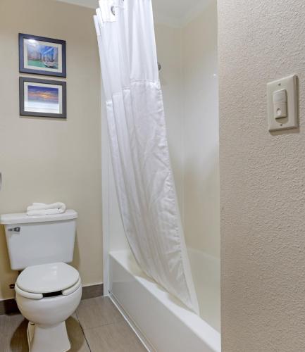 a bathroom with a toilet with a shower curtain at Comfort Inn Hoffman Estates - Schaumburg in Hoffman Estates